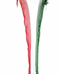 Cinturon tricolor